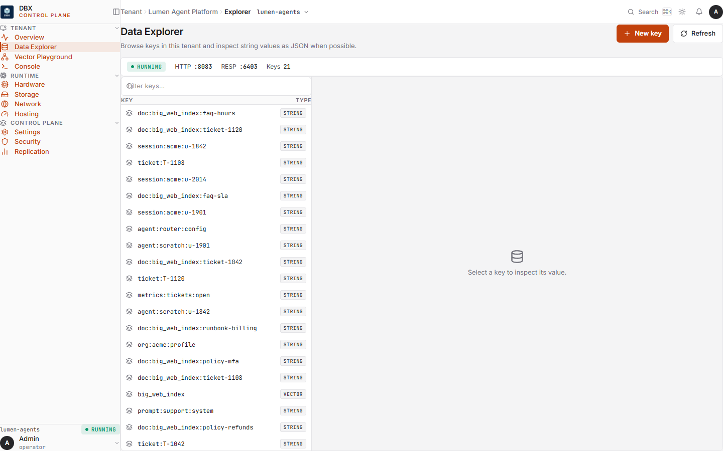 DBX data explorer on one tenant